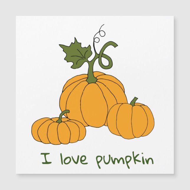 Romantic Cute orange pumpkin harvest     (Front)