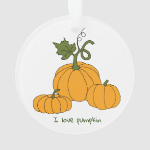 Romantic Cute orange pumpkin harvest     Ornament