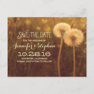 romantic dandelion blossoms save the date postcard