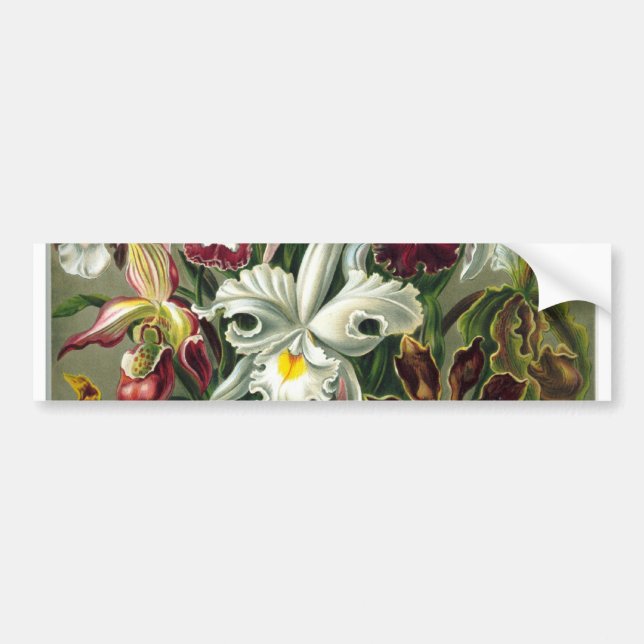 romantic date blossoms rsvp colourful chic bumper sticker (Front)