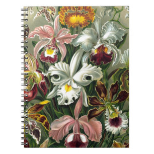 romantic date blossoms rsvp colourful chic spiral notebook