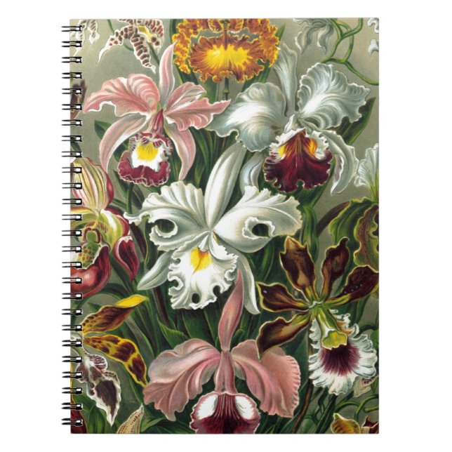 romantic date blossoms rsvp colourful chic spiral notebook (Front)