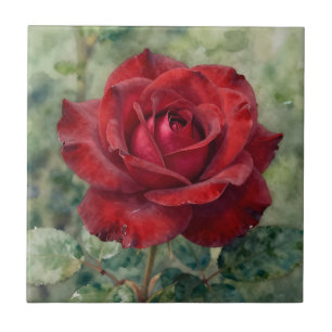 Romantic Deep Red Rose Bloom Tile