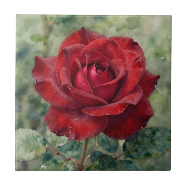 Romantic Deep Red Rose Bloom Tile (Front)
