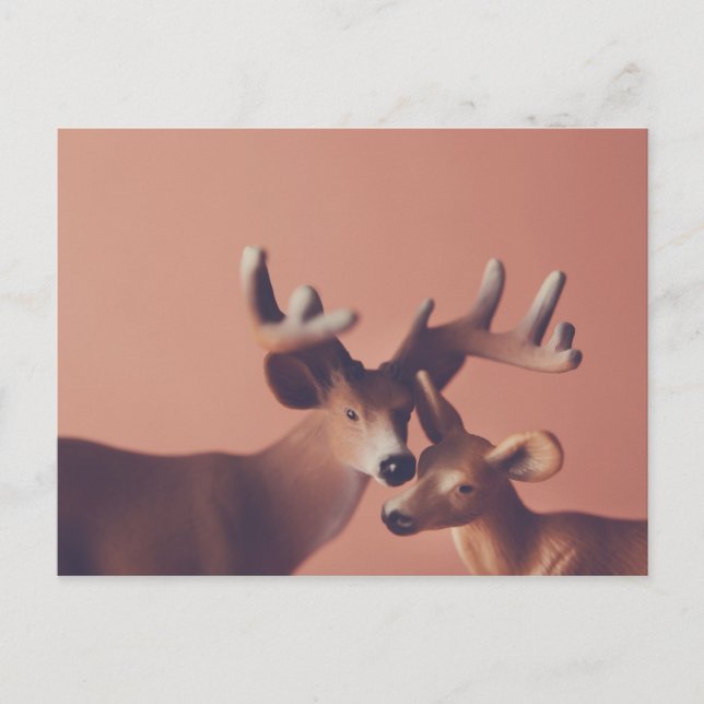 Romantic Deer Postcard (Front)