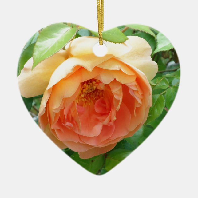 Romantic elegant  Orange Rose photo Ceramic Tree Decoration (Front)