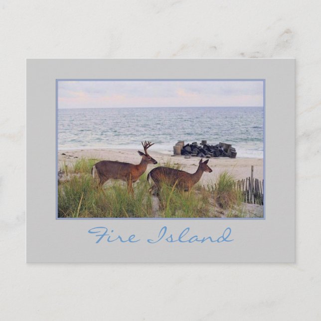 'Romantic Evening Stroll Along the Beach' Postcard (Front)