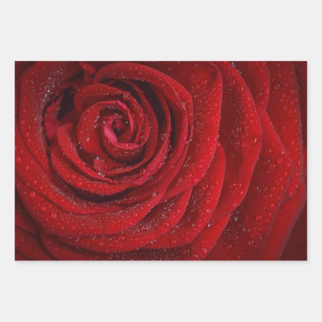 Romantic Floral Red Rose Wrapping Paper Sheet (Front)
