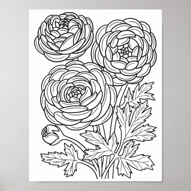 Romantic Flowers - Advanced Colouring Page Poster (Front)