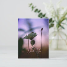 Romantic Flowers Boho – Botanical Fantasy Thanks