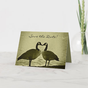 Romantic Geese Save the Date Card
