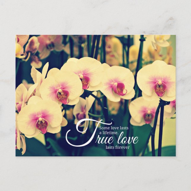 Romantic inspiration quote postcard (Front)