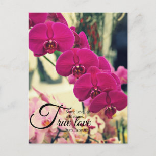 Romantic inspiration quote postcard
