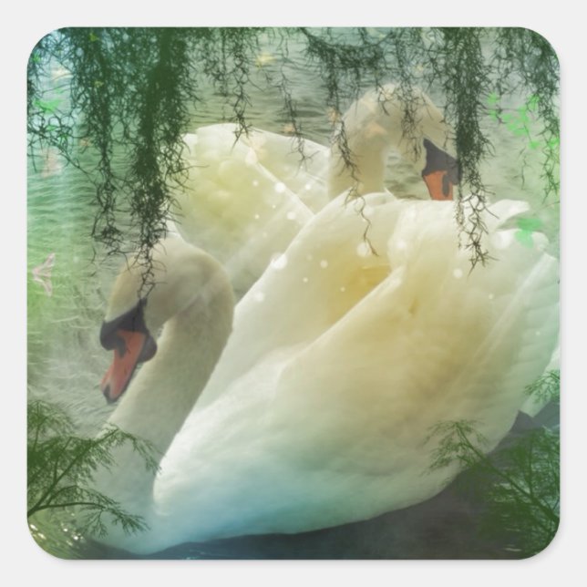Romantic Lake Swimming White Swans Square Sticker (Front)
