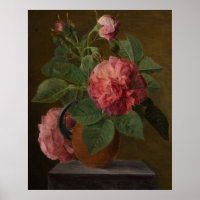 Romantic Old English Roses