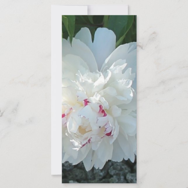 Romantic Peony Bookmark (Front)