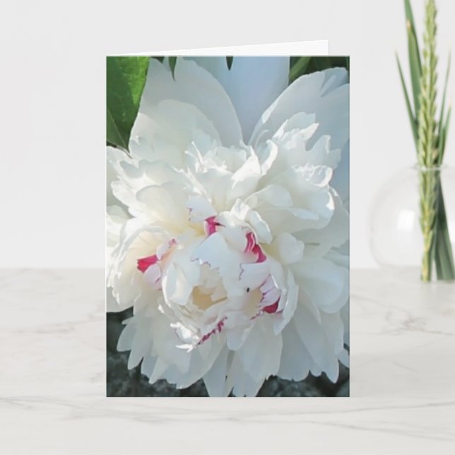 Romantic Peony Greeting and/or Note Card (Front)