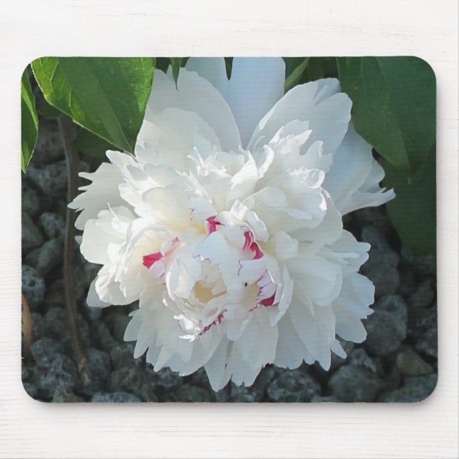 Romantic Peony Mousepad (Front)