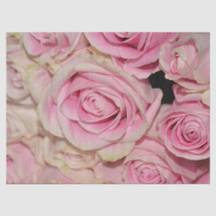 Romantic Pink Cream Roses Tissue Paper
