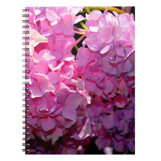 Romantic pink floral elegant hydrangeas  spiral notebook (Front)