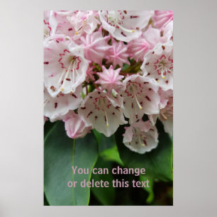 Romantic Pink Flowers Blossom Floral Photography Poster