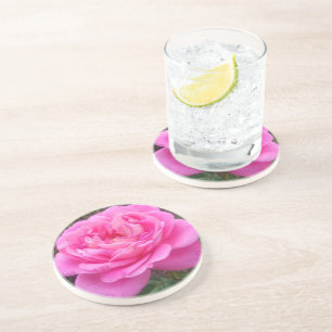 Romantic Pink Rose 'Leonardo Da Vinci' Coaster