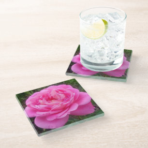 Romantic Pink Rose 'Leonardo Da Vinci'  Glass Coaster