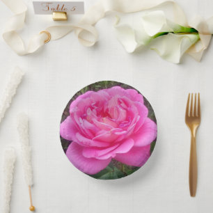 Romantic Pink Rose 'Leonardo Da Vinci' Paper Plate