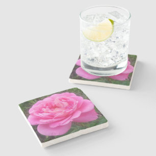 Romantic Pink Rose 'Leonardo Da Vinci'  Stone Coaster