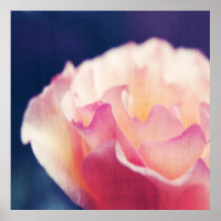 Romantic Pink Rose on Canvas Macro Abstract
