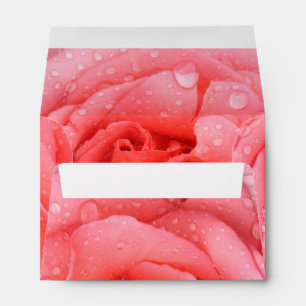 Romantic Pink Rose Water Drops Envelopes