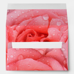 Romantic Pink Rose Water Drops Envelopes