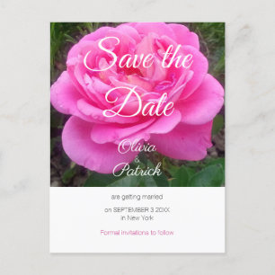 Romantic Pink Rose Wedding Save the Date Invitation Postcard