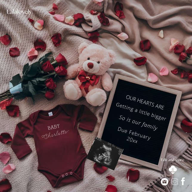 Romantic Pregnancy Announcement with Roses & Teddy (Creator Uploaded)