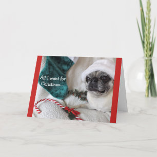 Romantic Pug Christmas Card