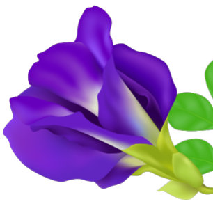 Romantic Purple Flower Save the Date Magnet 