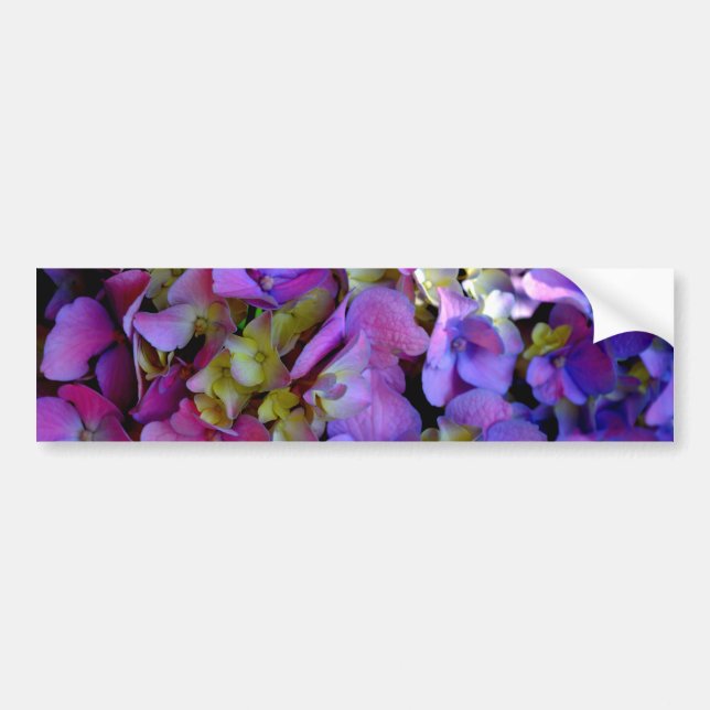 Romantic Purple Hydrangeas Bumper Sticker (Front)
