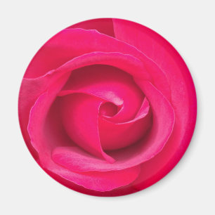 Romantic Red Pink Rose Magnet