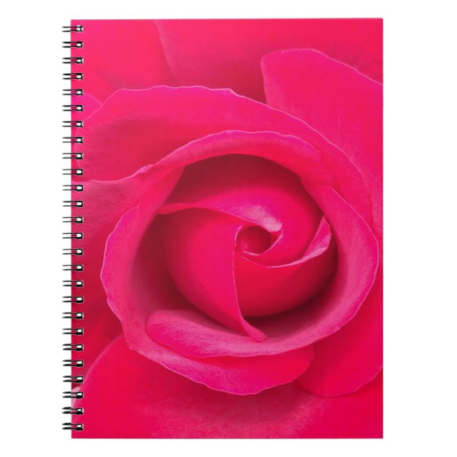 Romantic Red Pink Rose Spiral Notebook (Front)