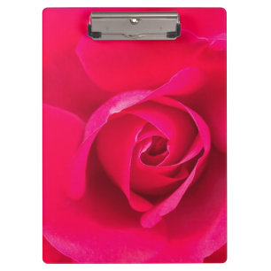 Romantic Red Pink Rose v2 Clipboard