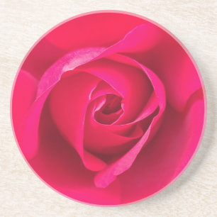 Romantic Red Pink Rose v2 Coaster