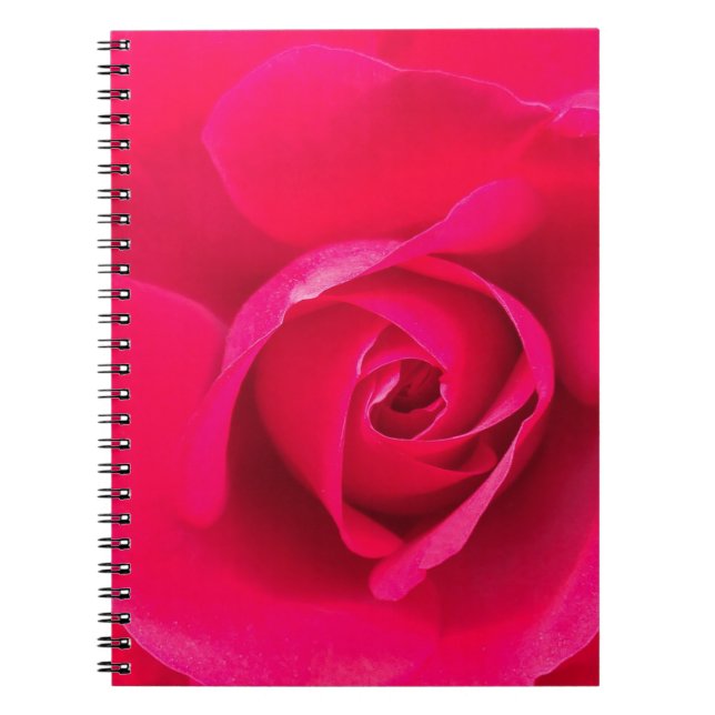 Romantic Red Pink Rose v2 Notebook (Front)