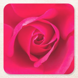 Romantic Red Pink Rose v2 Square Paper Coaster