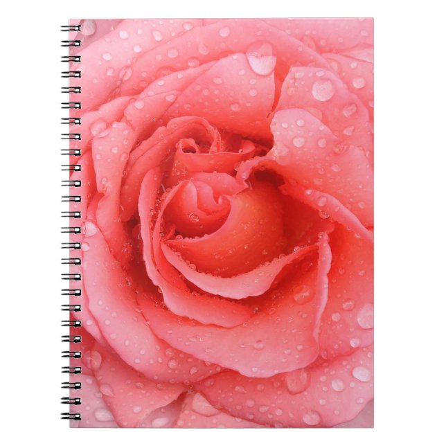 Romantic Red Pink Rose Water Drops Notebook (Front)