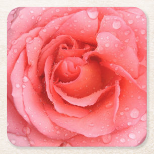 Romantic Red Pink Rose Water Drops Square Paper Coaster