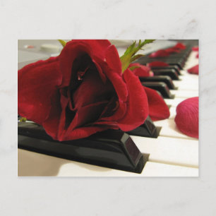 Romantic Red Rose Love Postcard