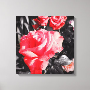Romantic Red Roses Canvas Print