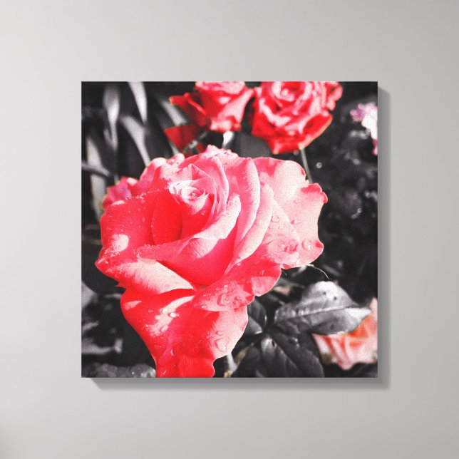 Romantic Red Roses Canvas Print (Front)