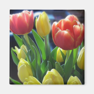 Romantic Red & Yellow Tulip Flowers Fridge Magnet