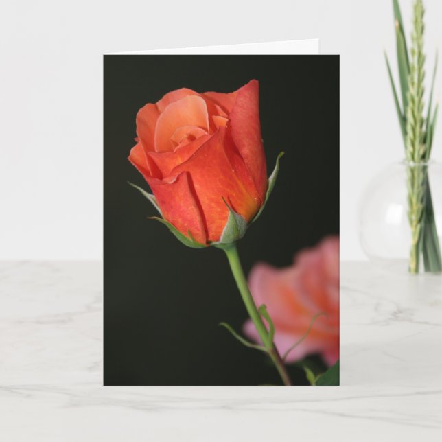 Romantic Rose Birthday Card (Front)